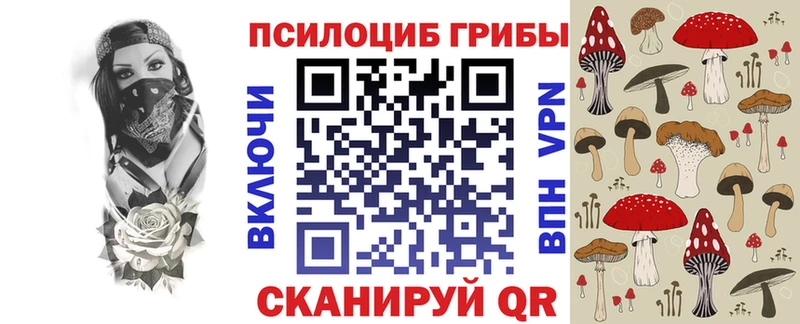 Псилоцибиновые грибы Psilocybe  Нижнеудинск 