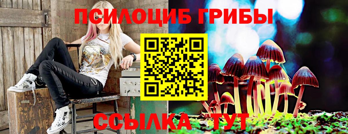 Нижнеудинск  Псилоцибиновые грибы Psilocybine cubensis  Галлюциногенные грибы Magic Shrooms  Вход с VPN 